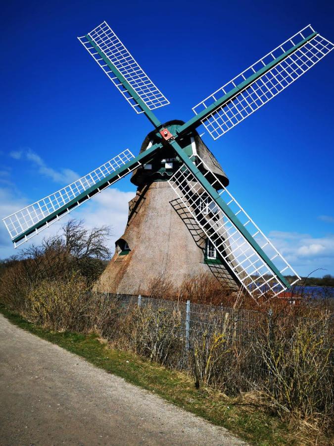 Mein-Ostseeplaetzchen Niesgrau エクステリア 写真