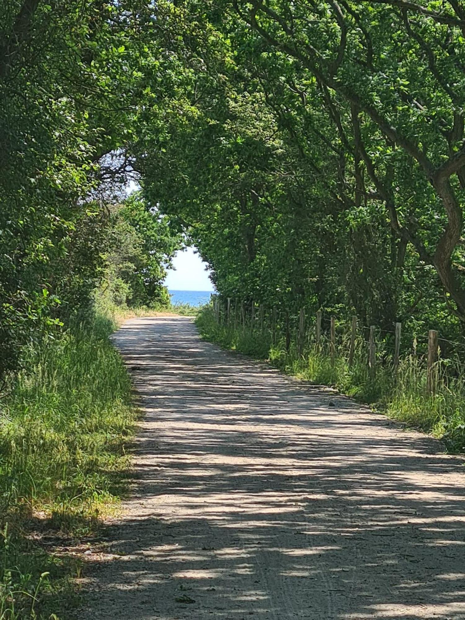 Mein-Ostseeplaetzchen Niesgrau エクステリア 写真