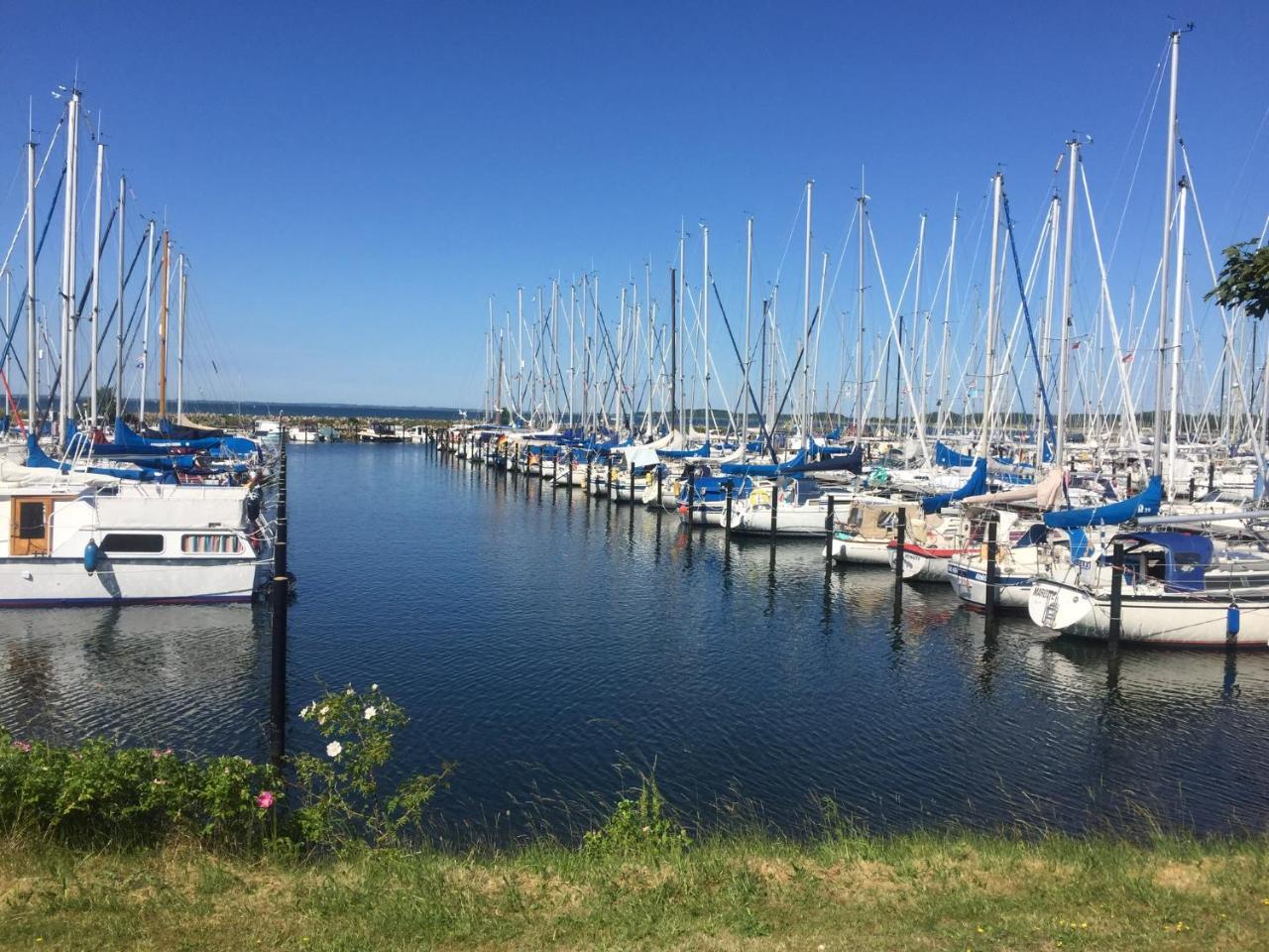 Mein-Ostseeplaetzchen Niesgrau エクステリア 写真